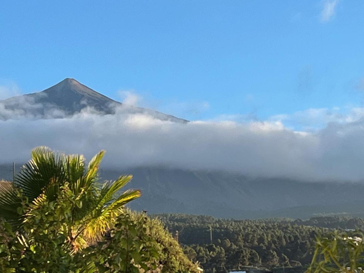 Bella Vista - Finca Tabaiba Icod De Los Vinos Eksteriør billede